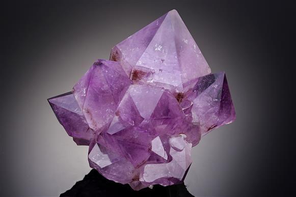 CC20452 specimen image