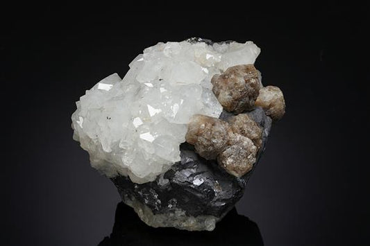 CC20453 specimen image