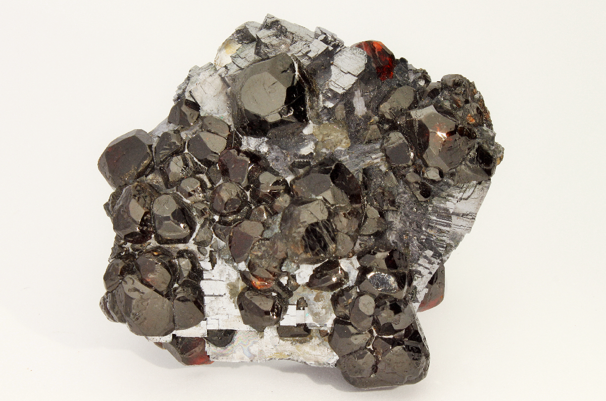 CC20454 specimen image