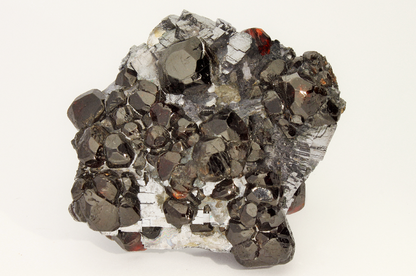 CC20454 specimen image