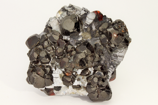 CC20454 specimen image
