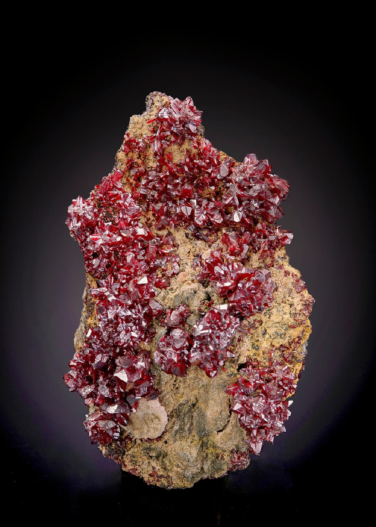 CC20459 specimen image