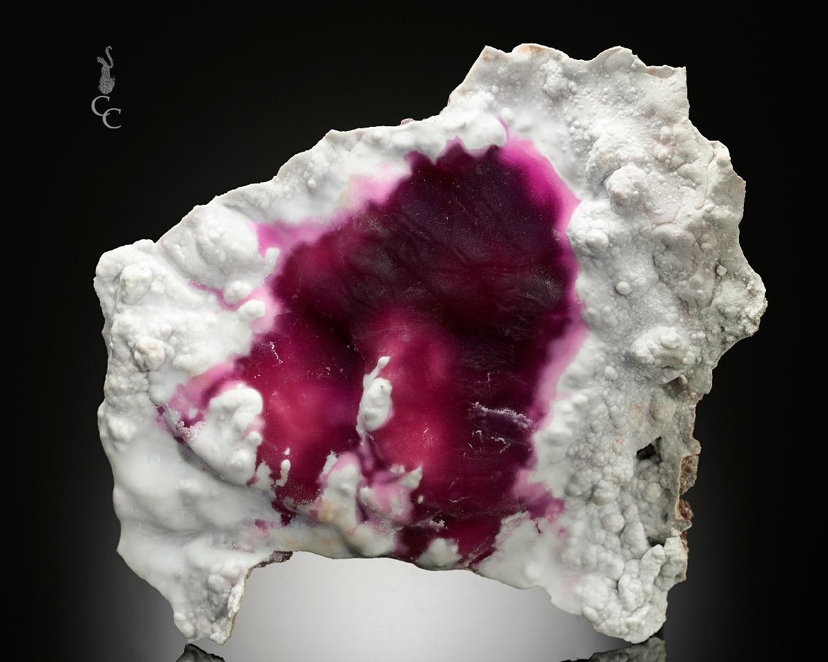 CC20462 specimen image