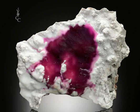 CC20462 specimen image