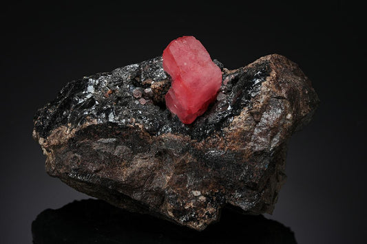 CC20474 specimen image