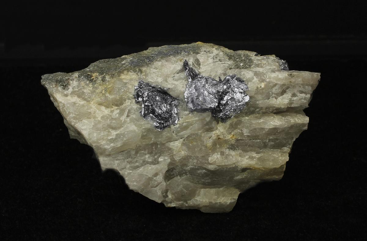 CC20488 specimen image