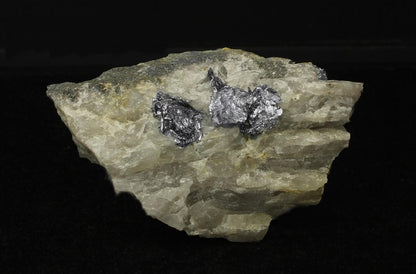 CC20488 specimen image