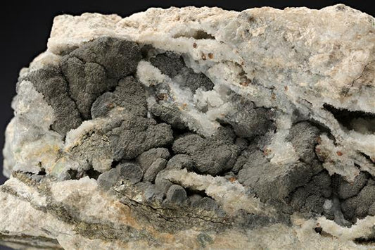 CC20493 specimen image
