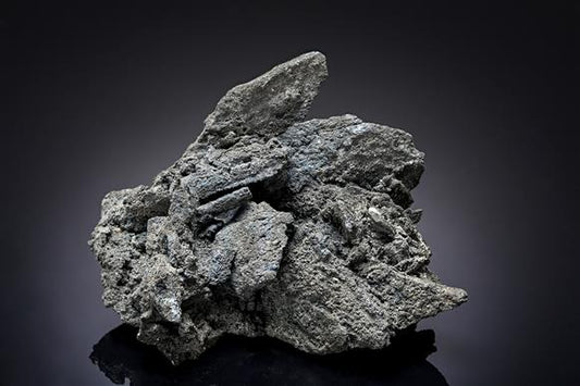 CC20494 specimen image