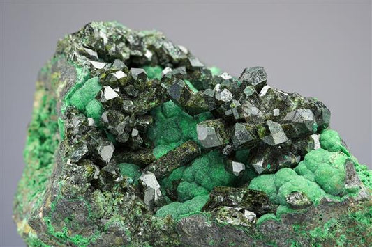 CC20495 specimen image