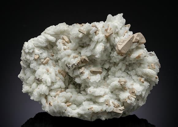 CC20496 specimen image
