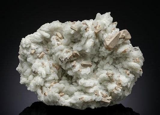 CC20496 specimen image