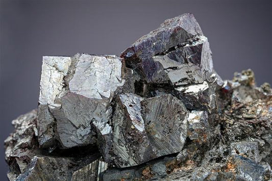CC20503 specimen image