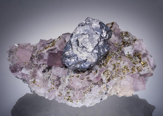 CC20508 specimen image