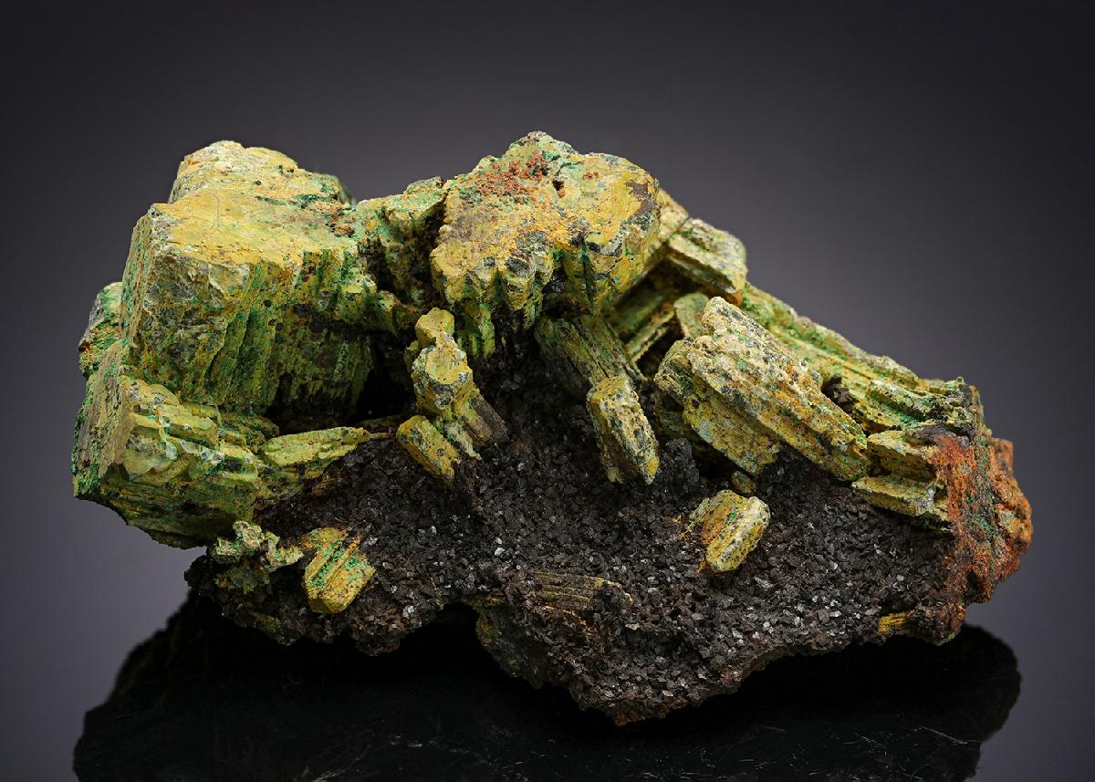 CC20510 specimen image