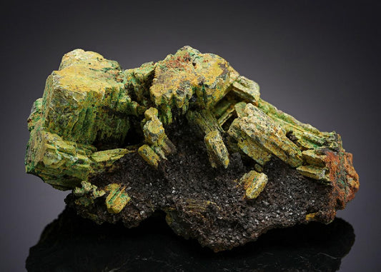 CC20510 specimen image