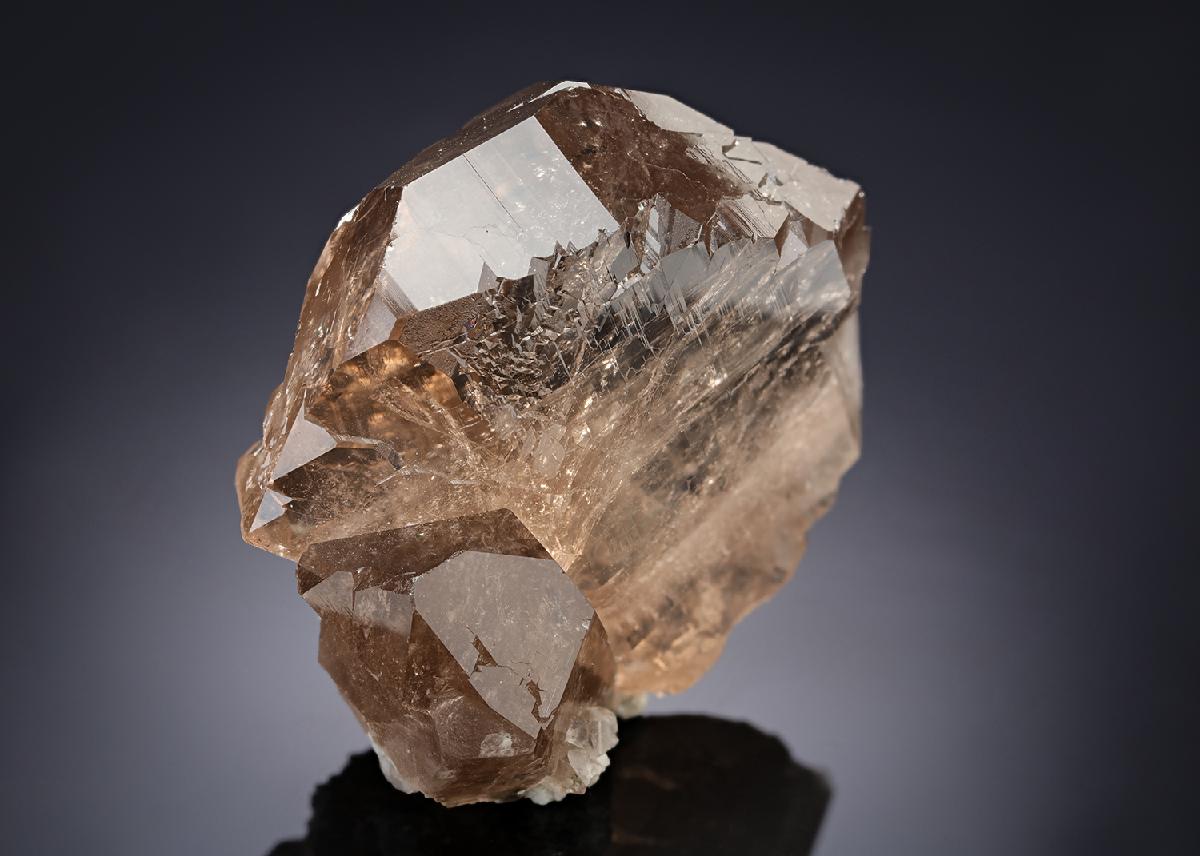 CC20522 specimen image