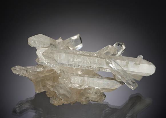 CC20525 specimen image
