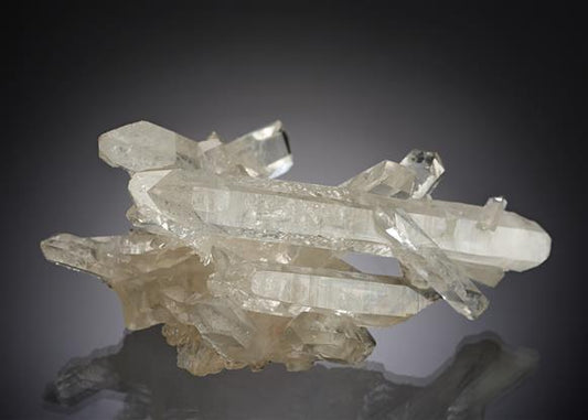 CC20525 specimen image
