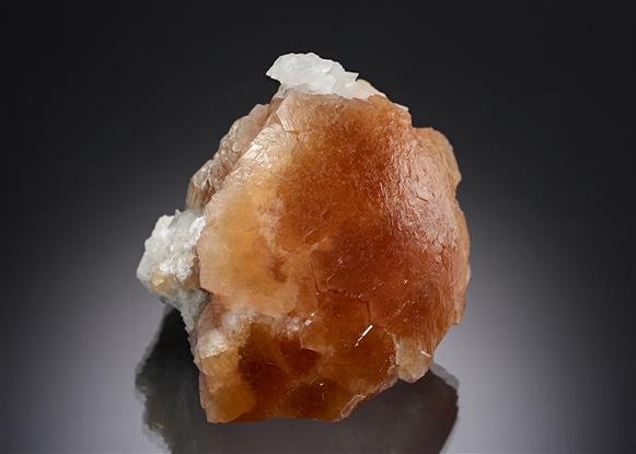CC20527 specimen image