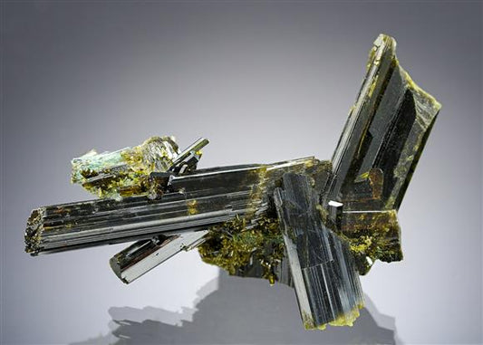CC20528 specimen image