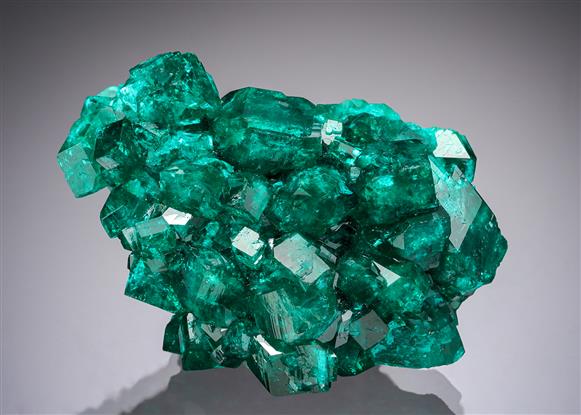 CC20533 specimen image