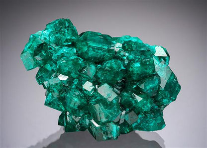 CC20533 specimen image