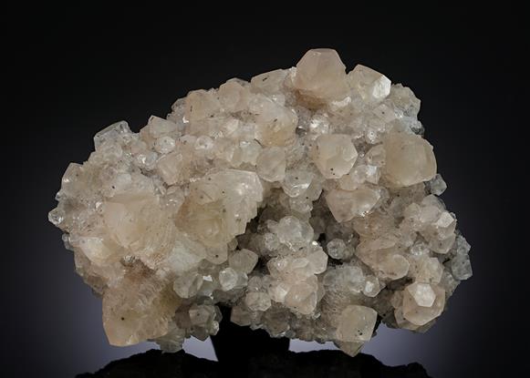 CC20536 specimen image