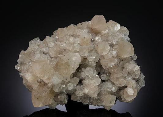 CC20536 specimen image