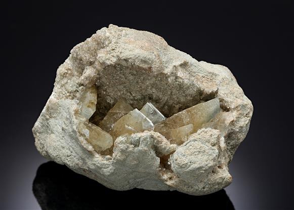 CC20538 specimen image