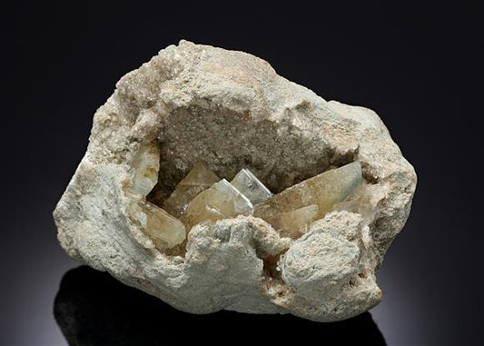CC20538 specimen image