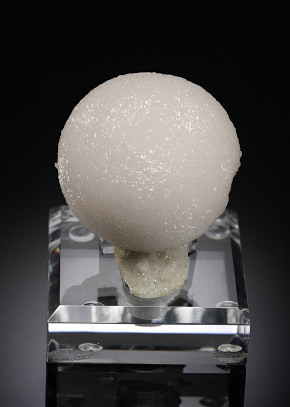 CC20546 specimen image