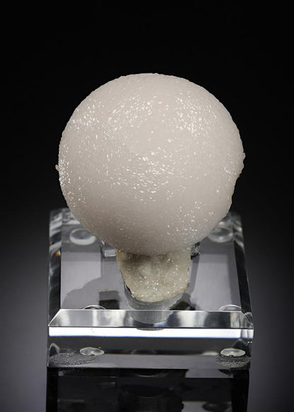 CC20546 specimen image