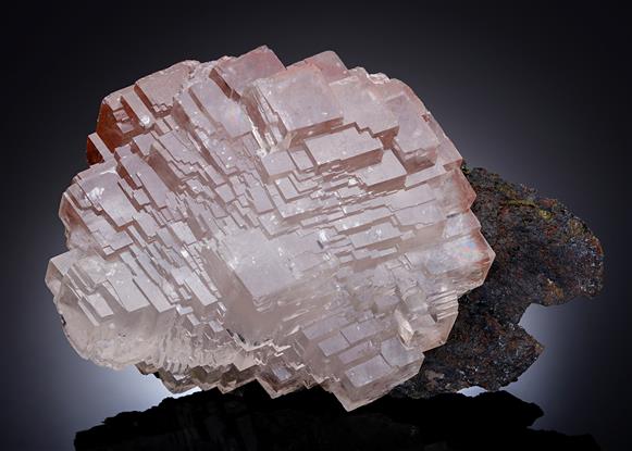CC20547 specimen image