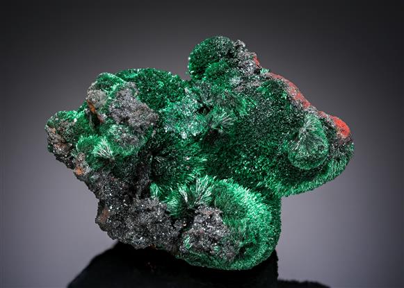CC20548 specimen image