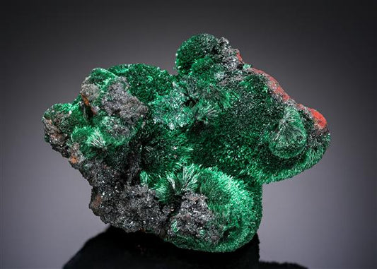 CC20548 specimen image