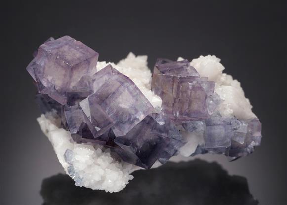 CC20566 specimen image