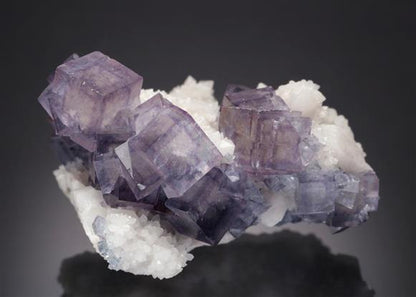 CC20566 specimen image