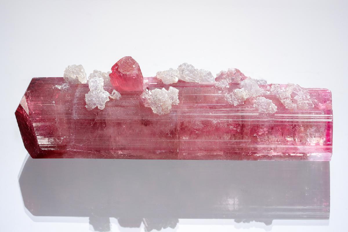 CC20686 specimen image