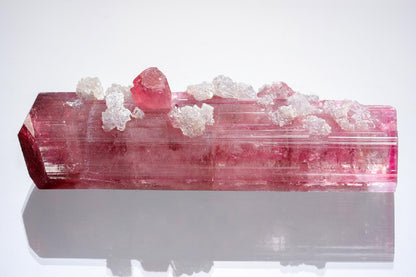 CC20686 specimen image