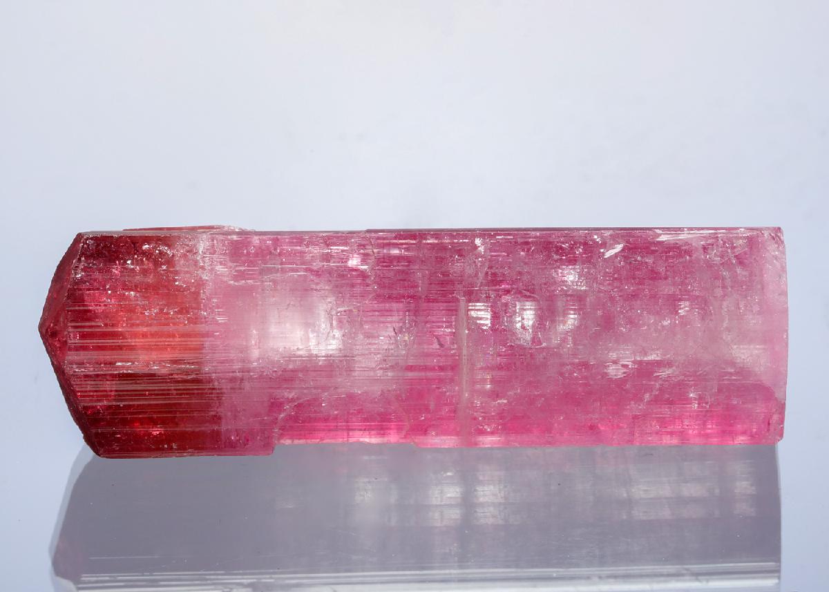 CC20709 specimen image