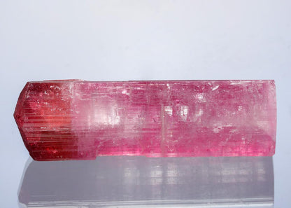 CC20709 specimen image