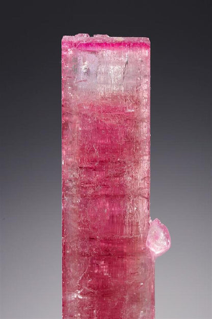 CC20723 specimen image