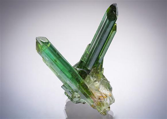 CC20728 specimen image