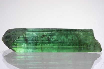 CC20741 specimen image