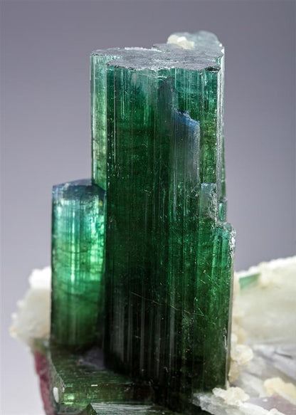 CC20765 specimen image
