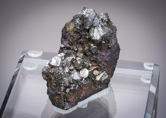 CC20784 specimen image