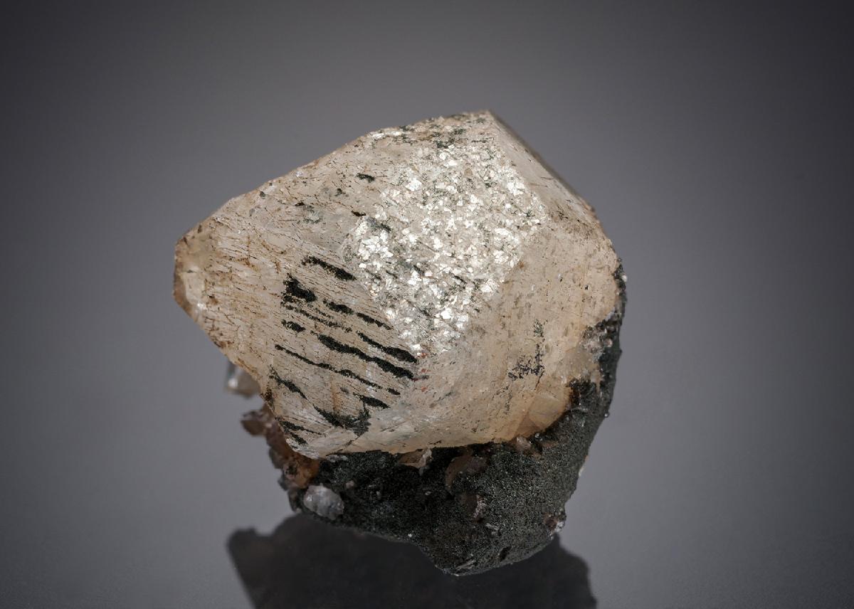 CC20790 specimen image