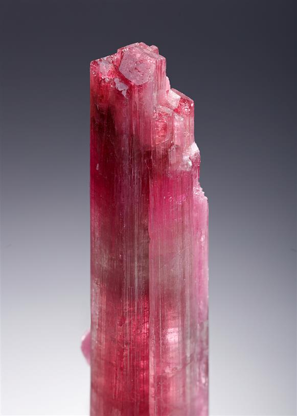 CC20802 specimen image