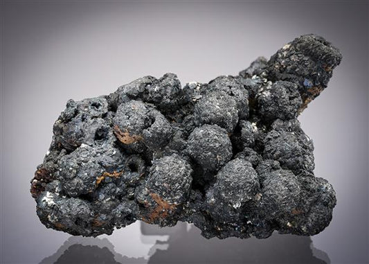 CC20809 specimen image